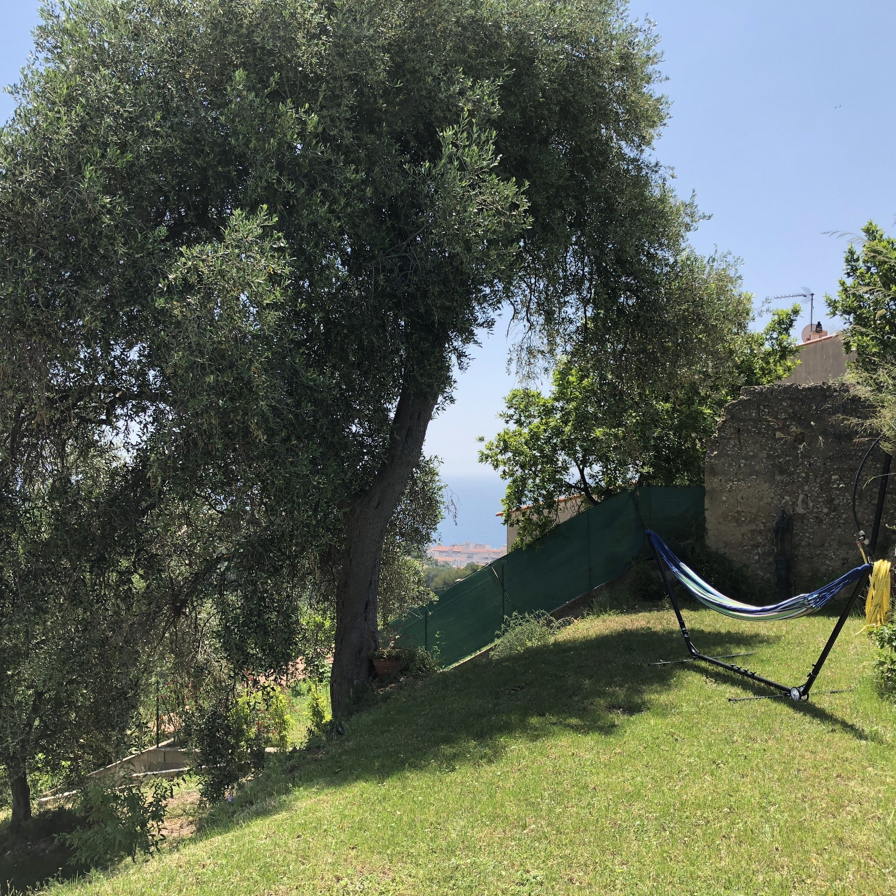 Una hamaca colocada en un área verde con un árbol grande y un muro de piedra al fondo.