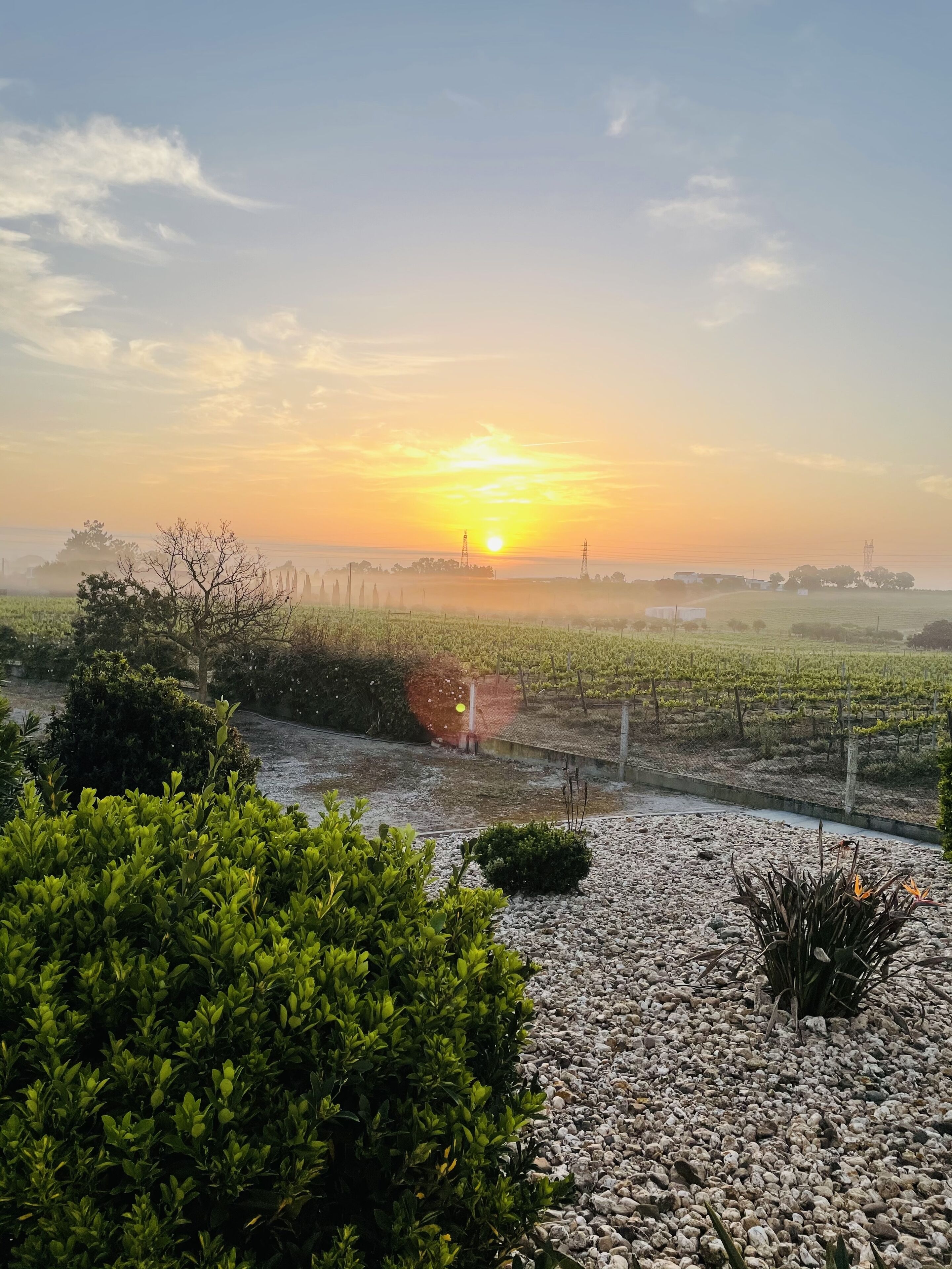 Áreas de la propiedad