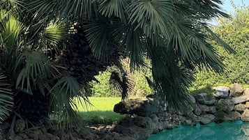 Piscina externa