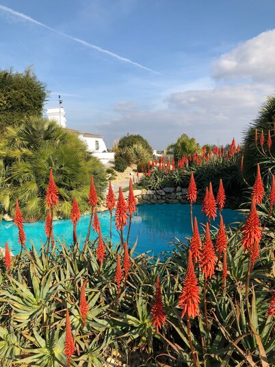 Rural farm Enjoy nature and feel the silence