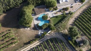 An aerial view of a property with a swimming pool, a large house, and vineyard rows. - Rural farm Enjoy nature and feel the silence (Palmela)