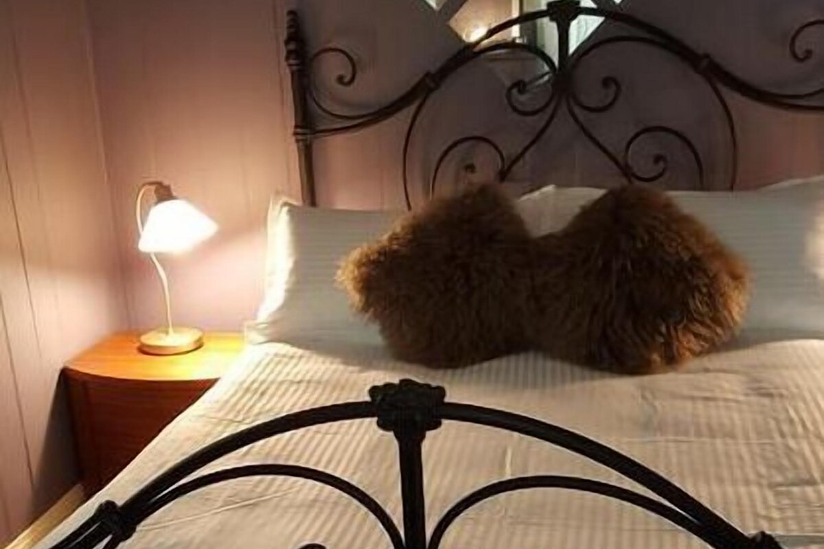 Deluxe Double Room | 1 bedroom, iron/ironing board, free WiFi, bed sheets