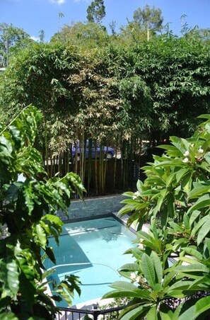 Outdoor pool - Plantation Red Hill Brisbane (Red Hill)