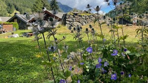 Una cabaña rústica de montaña con paredes de piedra, rodeada de abundante vegetación y flores silvestres.