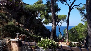 Un espace extérieur aménagé avec des tables et des bancs, entouré d’arbres et offrant une vue sur une étendue d’eau.