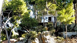 Une cabane perchée dans un arbre, au design simple et rustique, entourée d’une forêt dense de pins et d’un terrain rocheux.