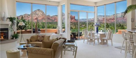 Smart TV, fireplace, books, music library