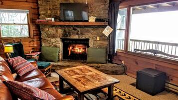 Smart TV, fireplace, DVD player, books