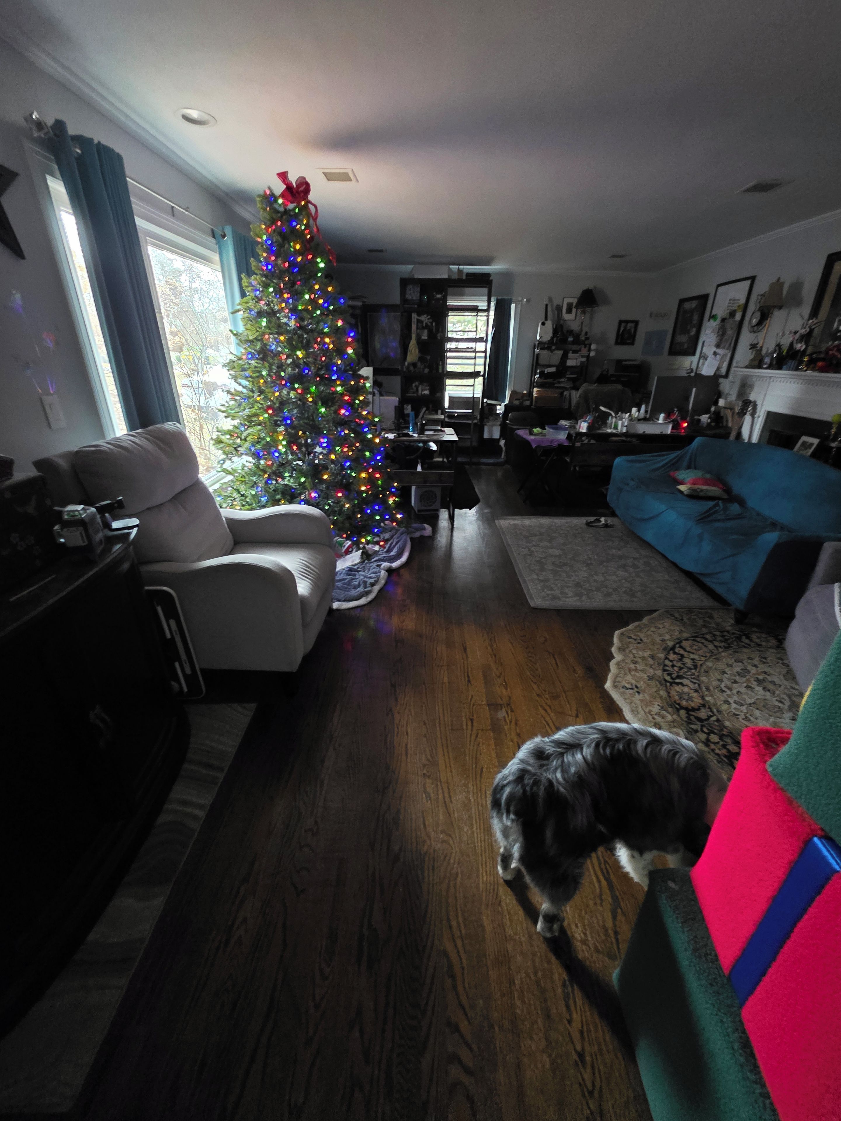 Una sala de estar con piso de madera, un árbol de Navidad, un sofá y un perro.