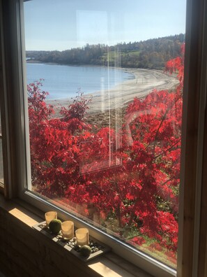 Une vue depuis une fenêtre donnant sur une plage, avec un feuillage rouge et une étendue d’eau calme.