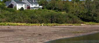 Oceanfront - 3 Acre Private Beach Property, See Whales & Eagles from the Deck