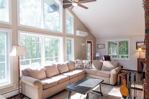 TV, fireplace, DVD player, books