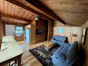 Smart TV, fireplace - Lake Front Cabin with Sandy Beach (Mayfield)