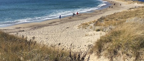 沙滩椅、沙滩毛巾