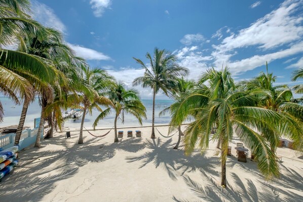 Ein Strand mit Palmen, einer Hängematte und Blick auf den Ozean.