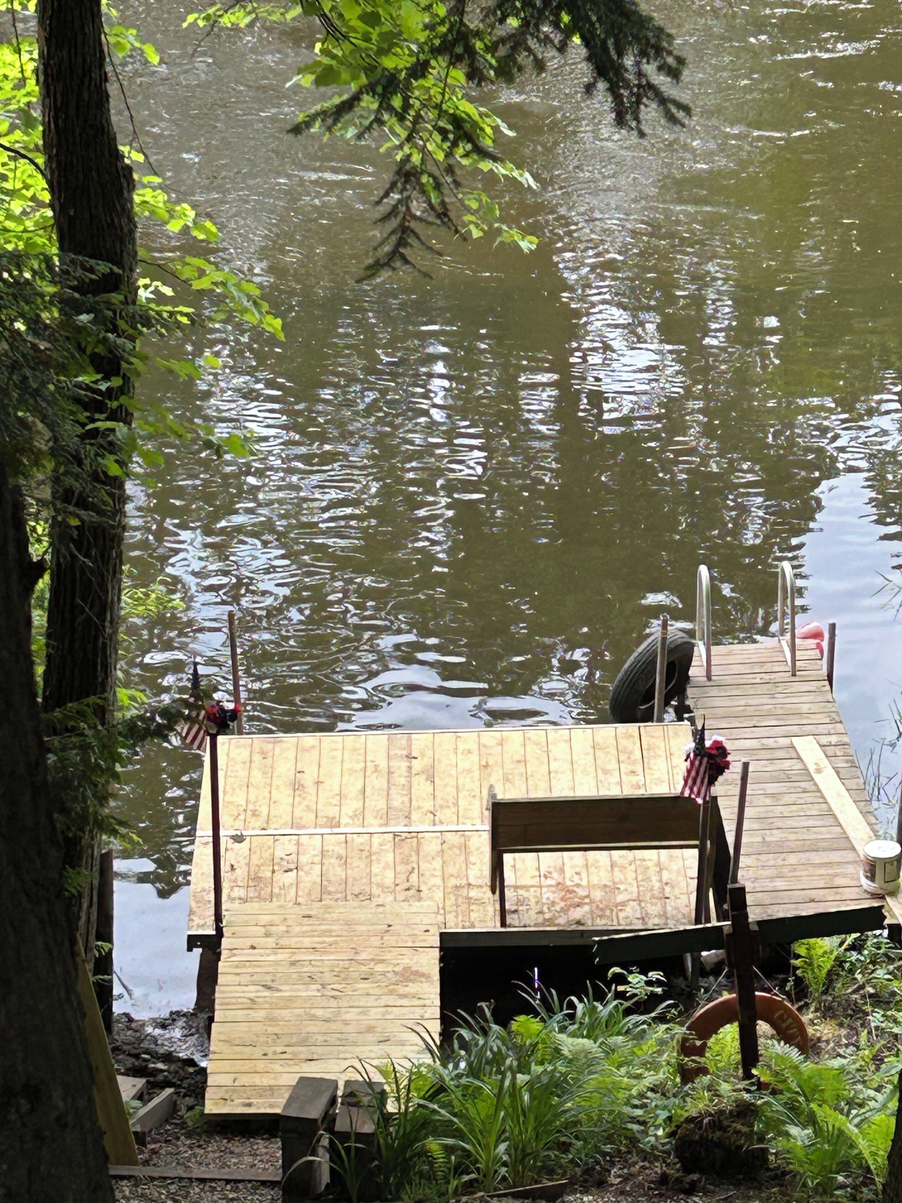 Un muelle de madera que se adentra en una superficie acuática tranquila, rodeado de abundante vegetación.