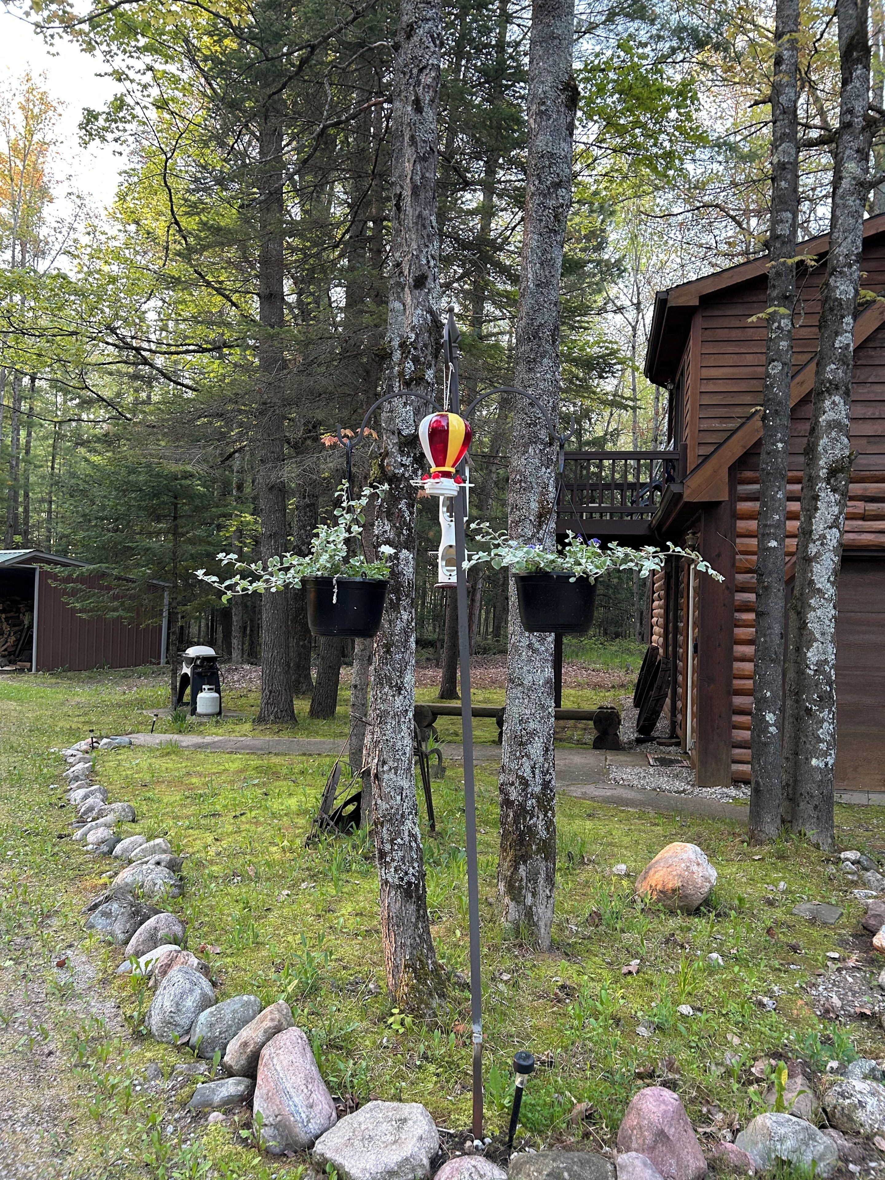 A wooden cabin with a porch, surrounded by trees and a rock-lined path.