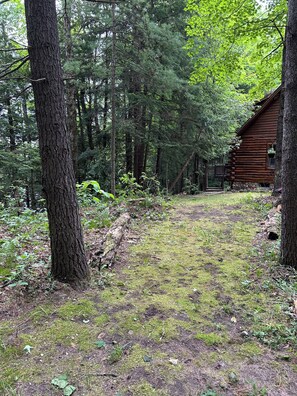 A forested area with a wooden cabin.