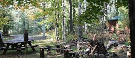 A forested campsite with picnic tables and a fire pit.