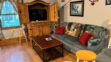 Smart TV, fireplace, books