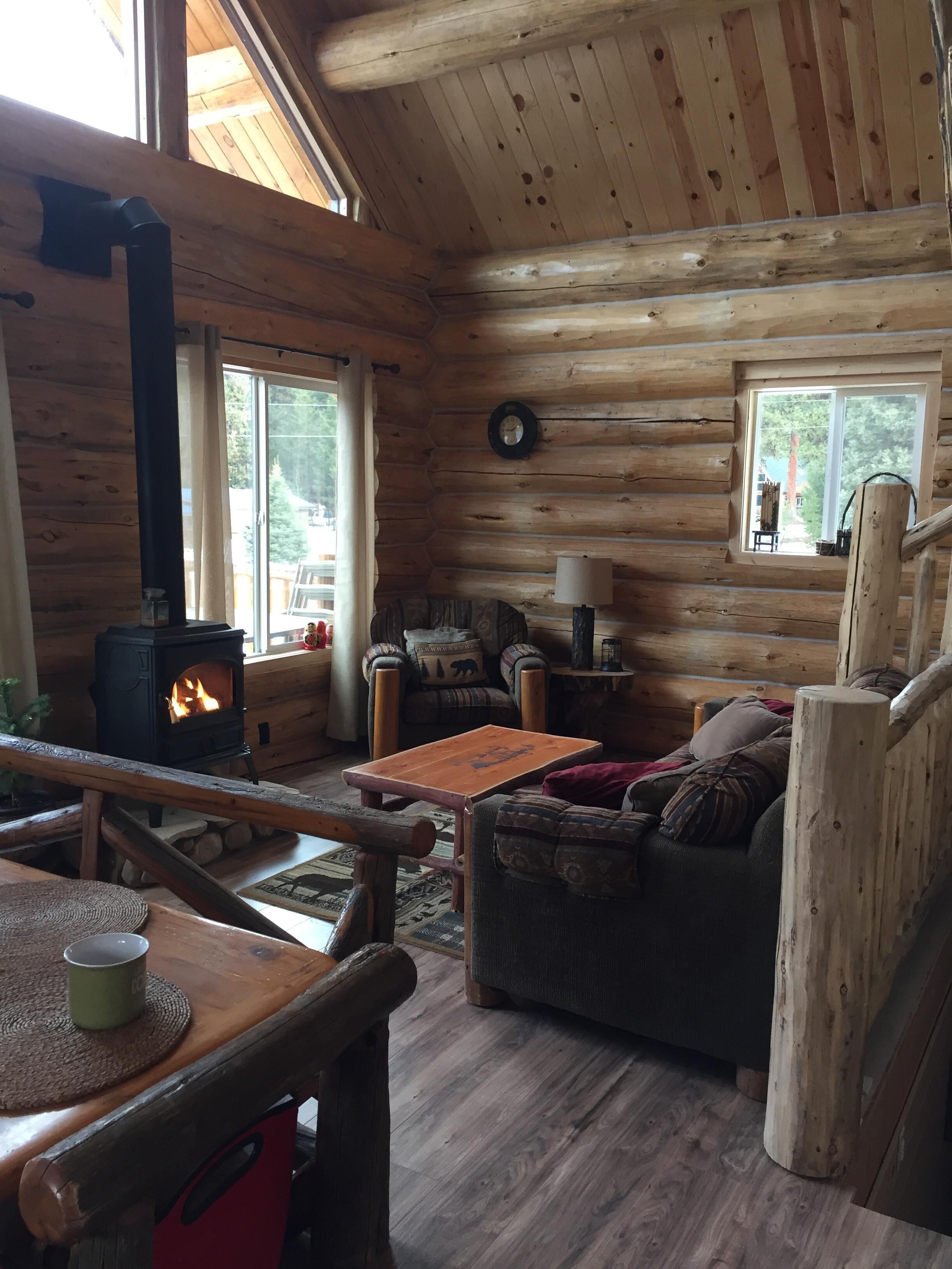 智能电视、壁炉、DVD 播放器、书