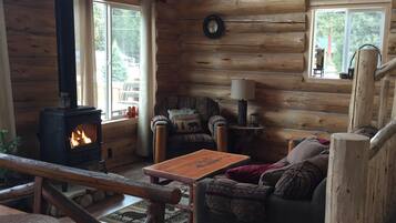 Smart TV, fireplace, DVD player, books