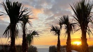 Ein Weg, der zum Strand führt, gesäumt von Palmen.