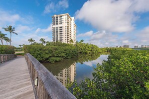 Overlooking a serene water body, this contemporary building offers a tranquil retreat with lush greenery and palm trees in the background.