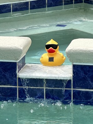 A heated pool