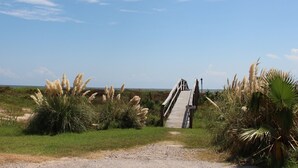Ein hölzerner Steg führt zu einem Strand mit Pampasgras und Palmen.