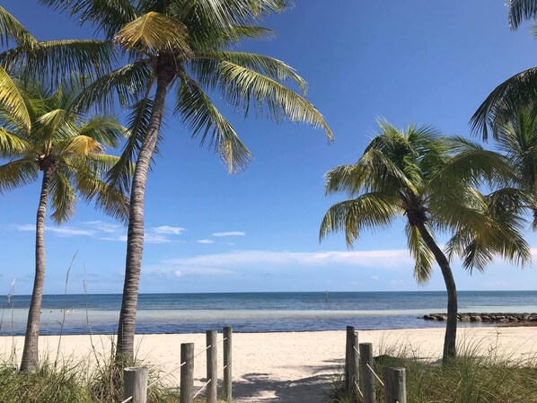 Beach - Tropical Key West out of the way  (Key West)