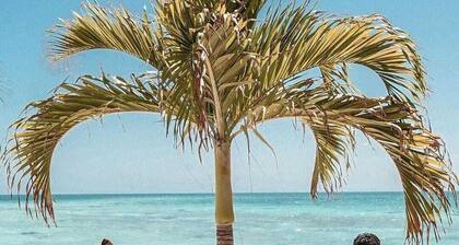 Blue Marlin Cabana at King Lewey Island Resort, Placencia Cayes, Belize
