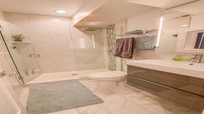 Ducha y bañera combinadas y cabezal de ducha tipo lluvia