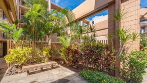 A courtyard with a stone pathway, palm trees, and a variety of plants. - SUMMER SALE! Oceanfront Condo w AC, Ocean Views & Heated Pool - Kaleialoha 309 (Lahaina)