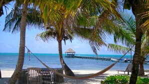 A hammock between palm trees on a sandy beach with a thatched-roof structure in the background. - Sunset Beach "B1" - Beachfront At Its Best Plus Pool, Kayaks, Bikes & More 🏖 (San Pedro Town)