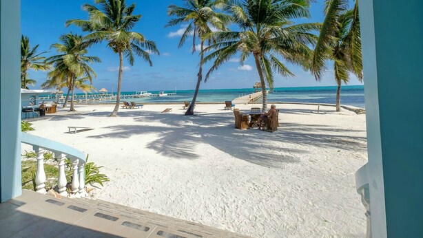 A beach with white sand, palm trees, and a view of the ocean. - Sunset Beach "B1" - Beachfront At Its Best Plus Pool, Kayaks, Bikes & More 🏖 (San Pedro Town)