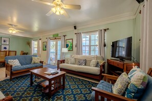 TV, DVD player, books, video library