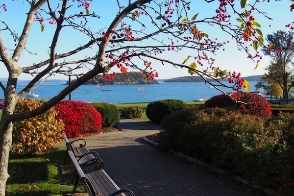 Agamont Park!
