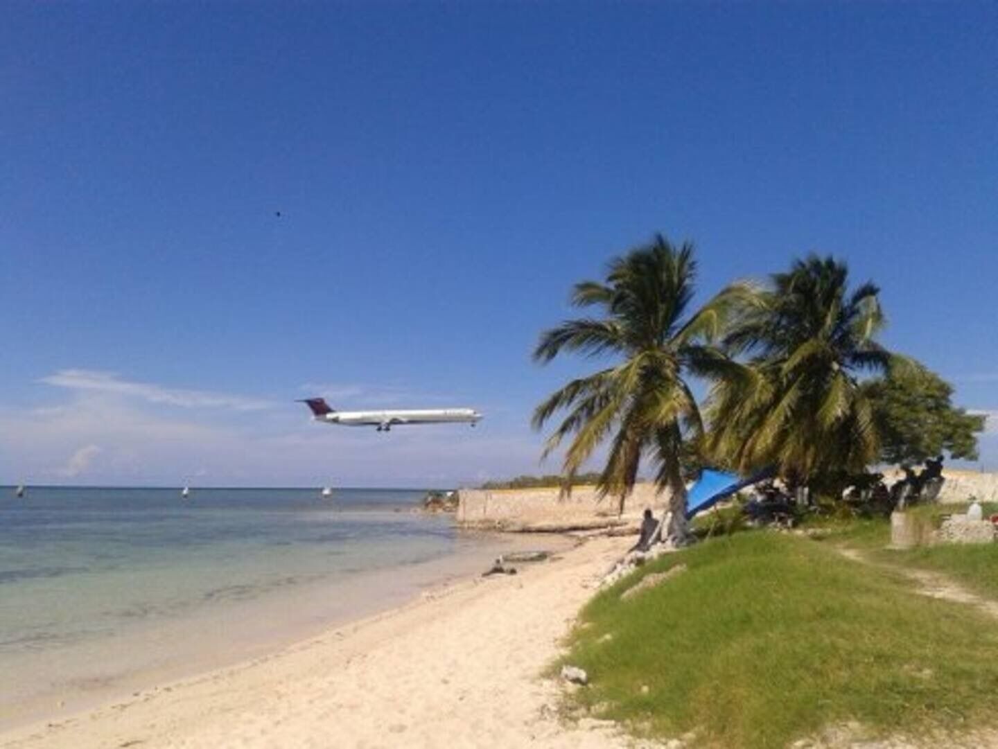 Une plage avec un ciel dégagé, des palmiers et un avion qui vole au-dessus.