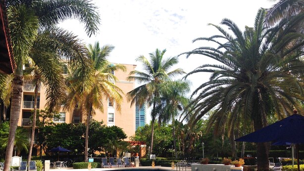 A swimming pool surrounded by palm trees and lounge chairs. - 3bed 2bath Luxury Yatch Club Condo at Aventura Fl, Parking Include! (Miami)