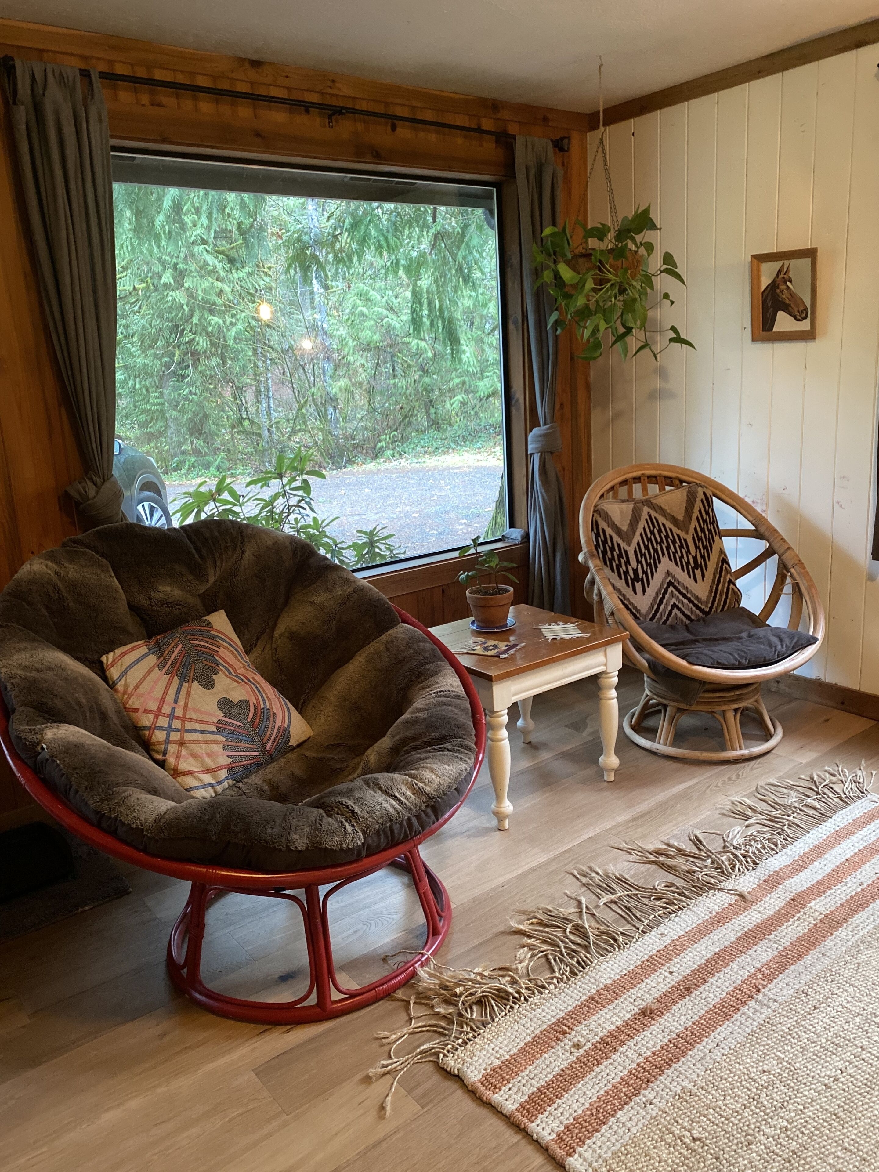 Smart TV, fireplace, DVD player, books