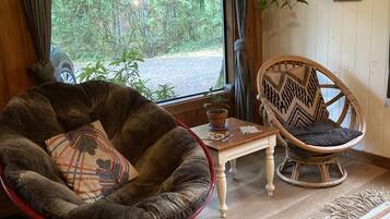 Smart TV, fireplace, DVD player, books