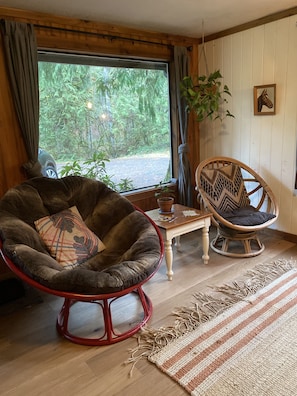 Smart TV, fireplace, DVD player, books