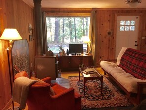 TV connectée, cheminée, lecteur de DVD, livres