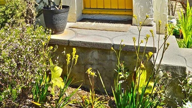 Ein Haus mit gelber Tür, einer kleinen Veranda und einem Garten mit verschiedenen Pflanzen.