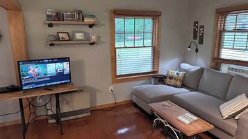 Smart TV, Netflix, DVD player, streaming services