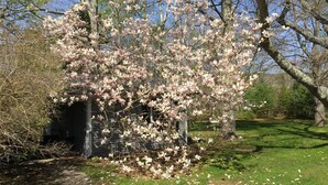 A tree with pink blossoms in a garden area with a small shed.