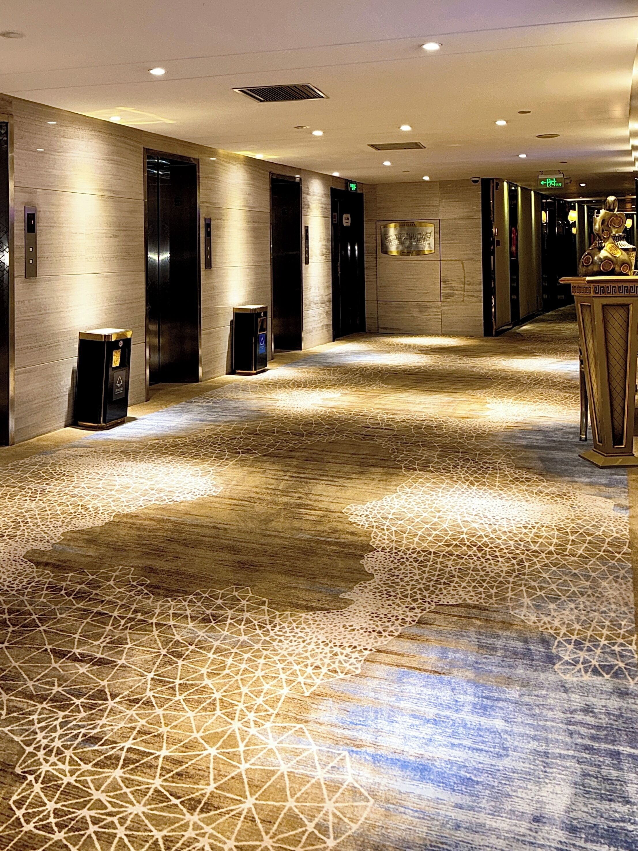 Een hotelgangen met een vloer met patroon, liften en een receptiebalie.