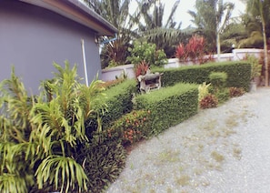 Jardín