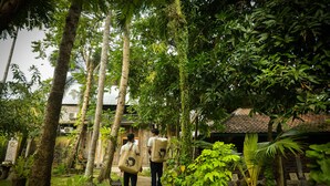 A pathway through a lush garden with tall trees and a traditional building in the background. - Taman Nauli Bed & Breakfast (Tibubeneng)